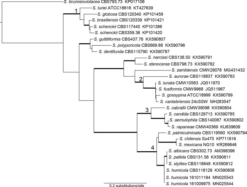 Fig. 3