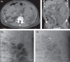 Fig. 7