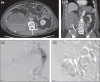 Fig. 8