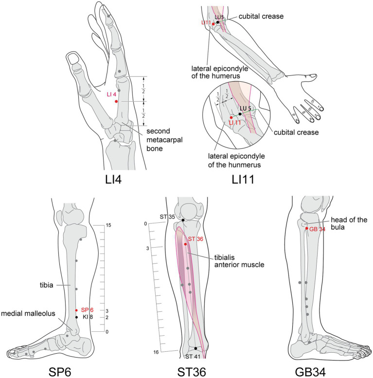 Figure 11