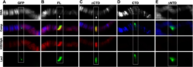 FIGURE 3.