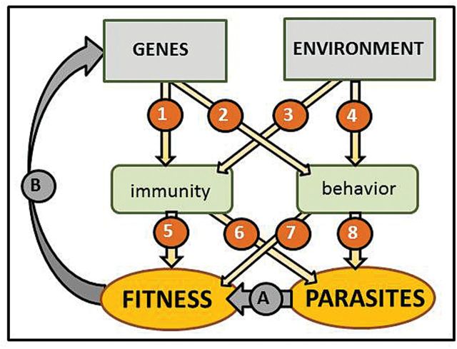 Fig. 1.