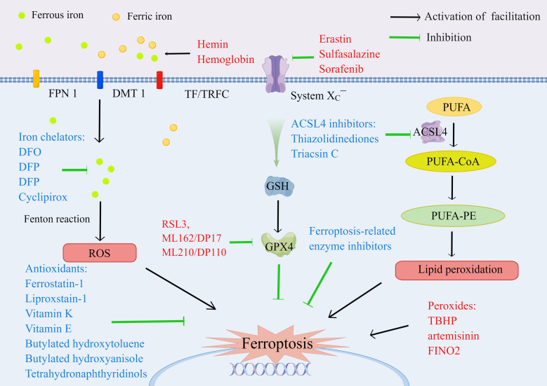 Figure 4