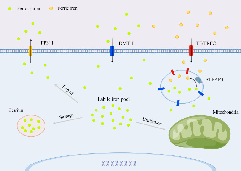 Figure 1