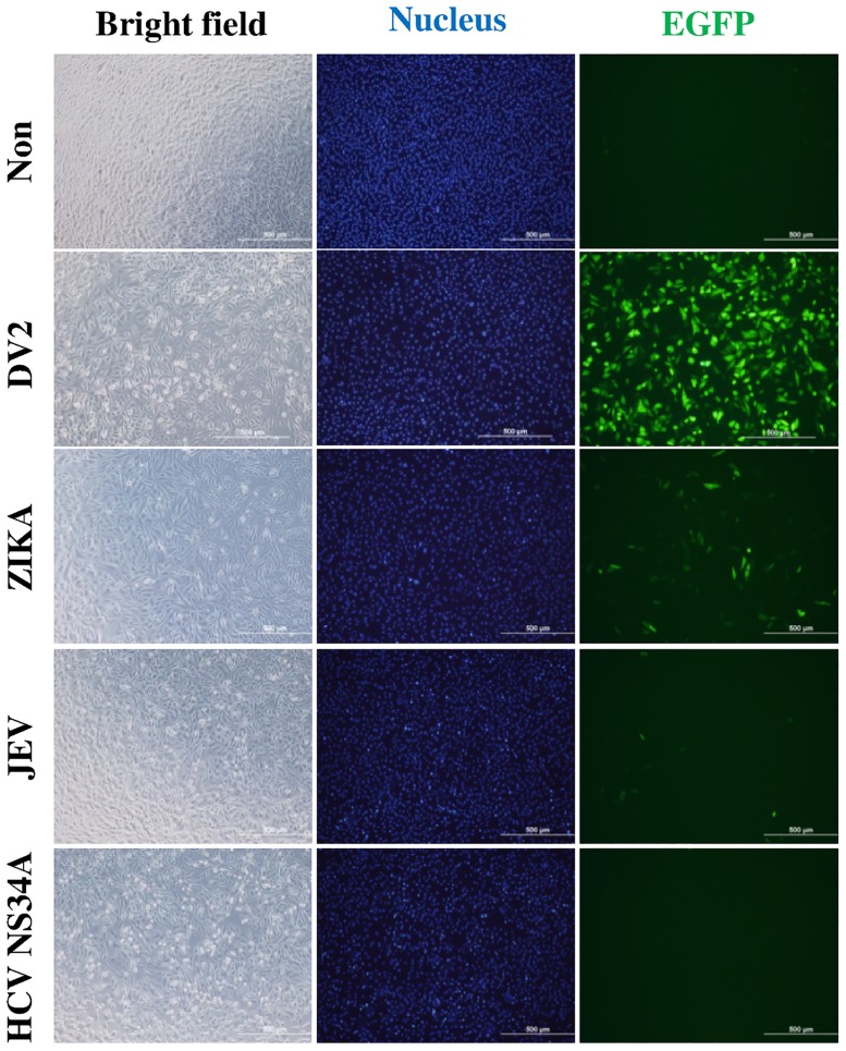 Fig 4