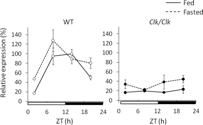 FIGURE 4.