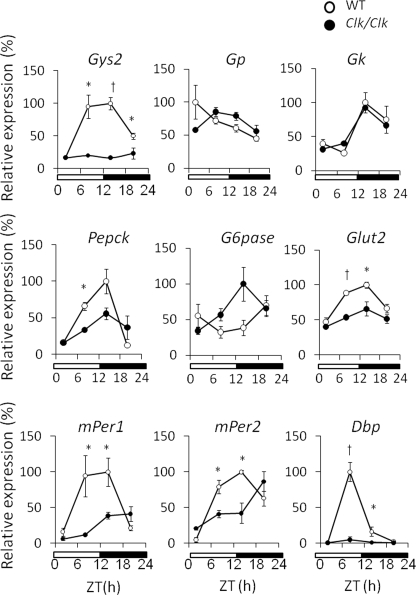 FIGURE 1.