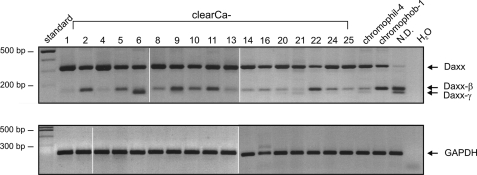 FIGURE 1.