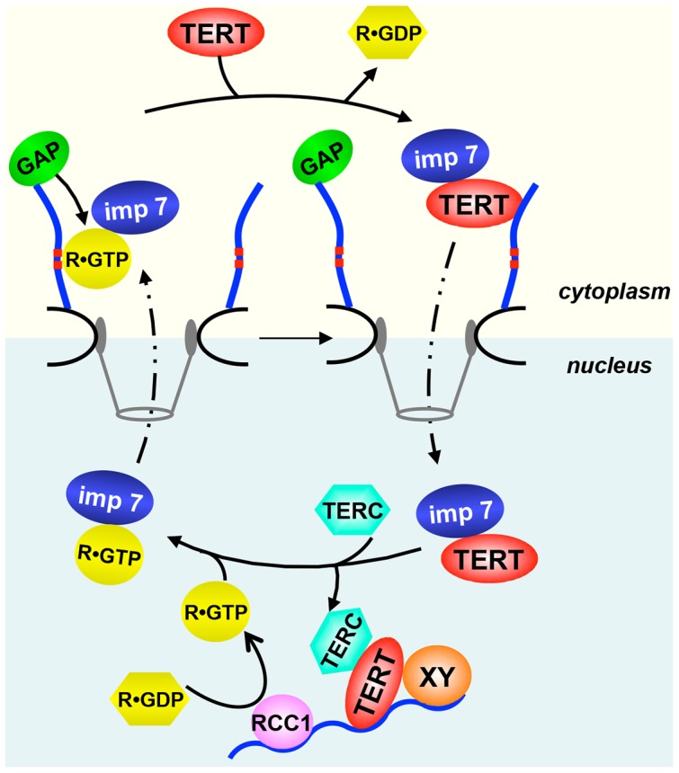 Figure 7