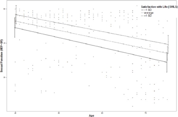 graphic file with name 10.1177_1557988316689238-fig10.jpg