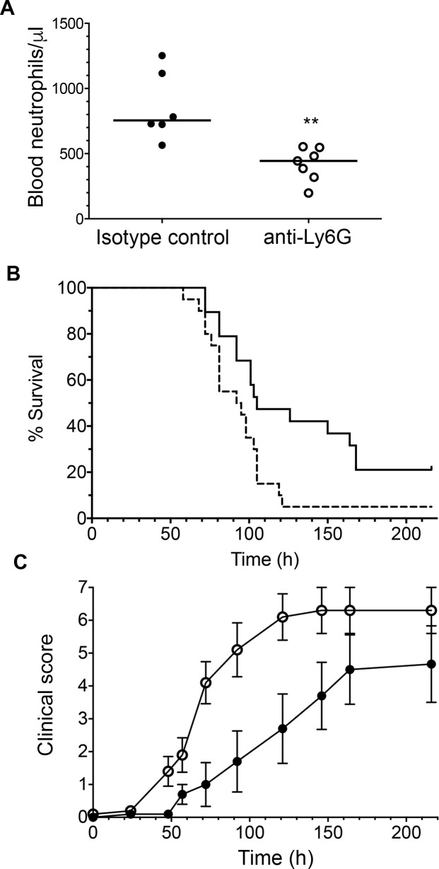 Fig 7