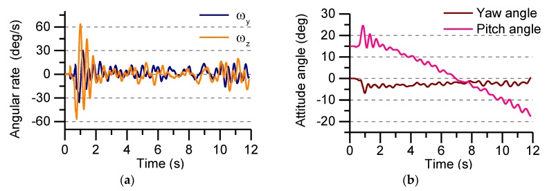 Figure 21