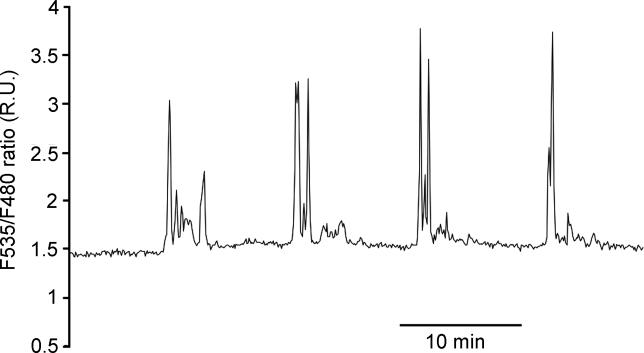 Figure 10