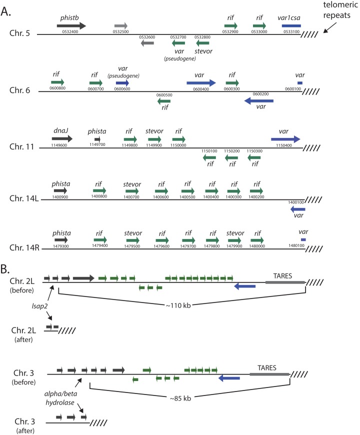 FIG 2 