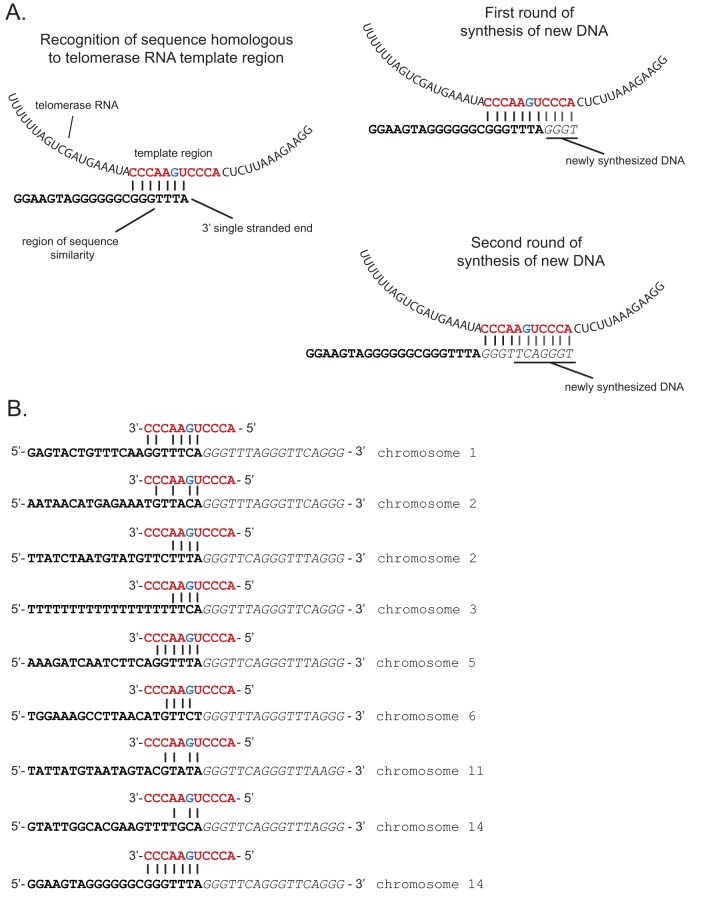 FIG 4 