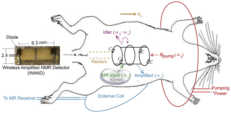 Fig. 1.