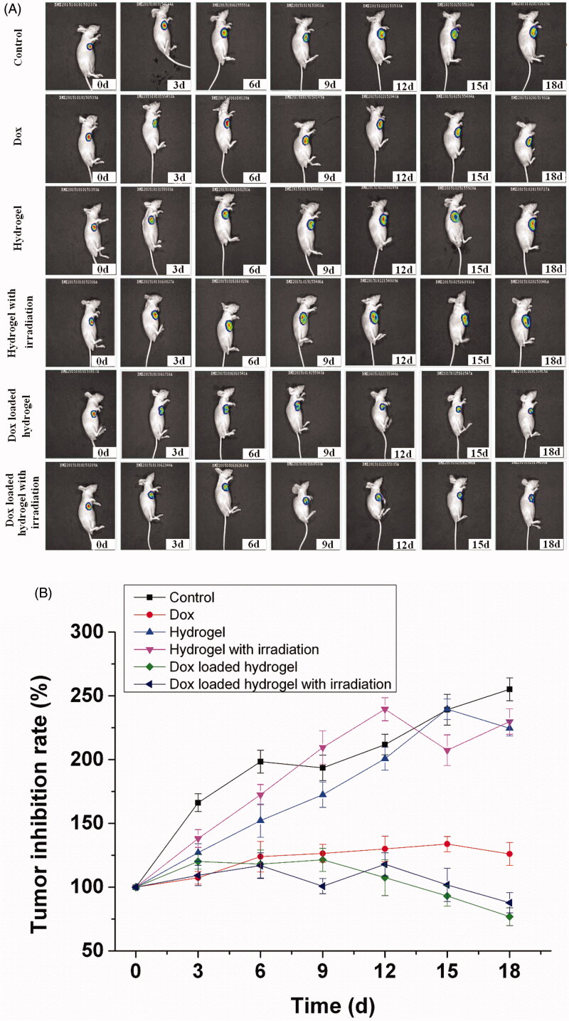 Figure 6.