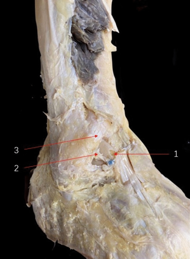 Fig. 5