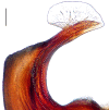 Figure 14a.