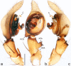 Figure 4.
