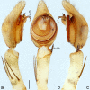 Figure 12.