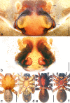 Figure 16.