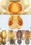 Figure 27.