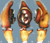 Figure 17.