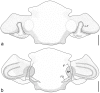 Figure 8.
