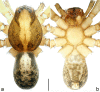 Figure 23.