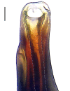 Figure 28e.