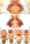 Figure 20.