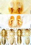 Figure 13.