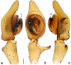 Figure 22.