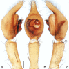 Figure 10.