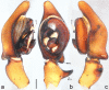 Figure 15.