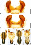 Figure 11.