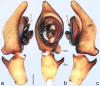 Figure 19.