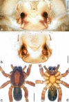 Figure 24.