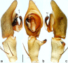 Figure 26.