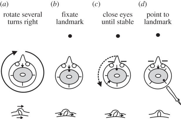 Figure 3.