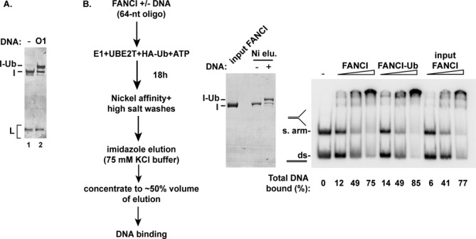 Figure 9.