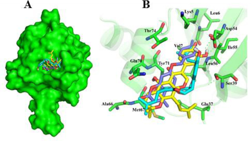 Fig. 6