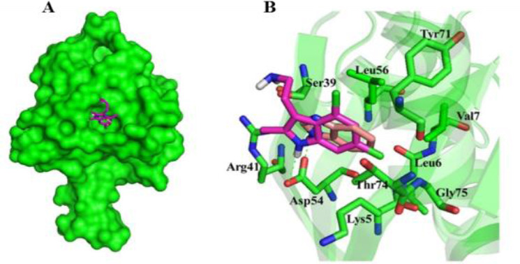 Fig. 4