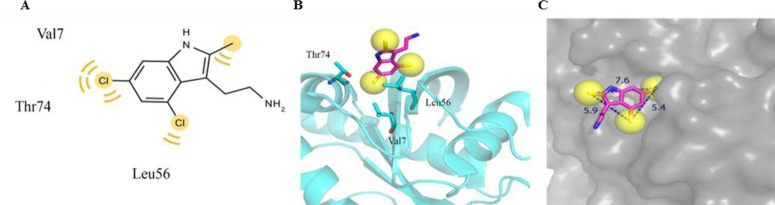 Fig. 5