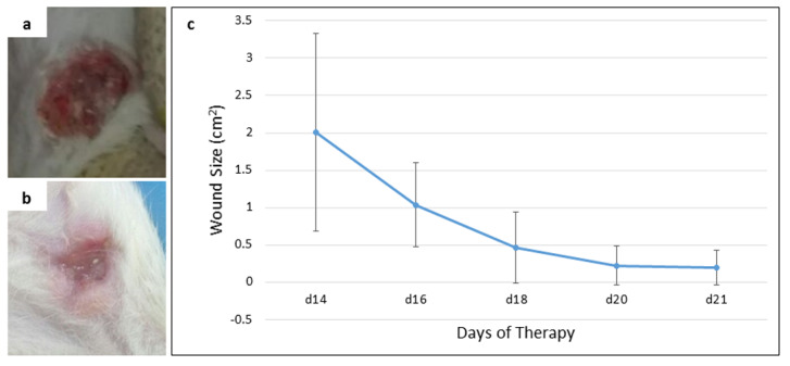 Figure 3. 