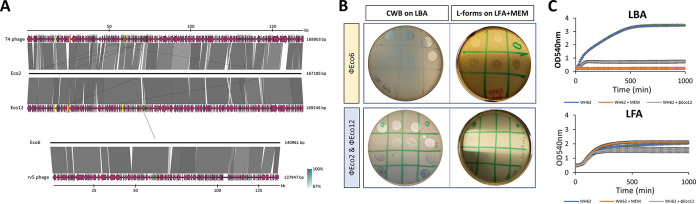 FIG 3