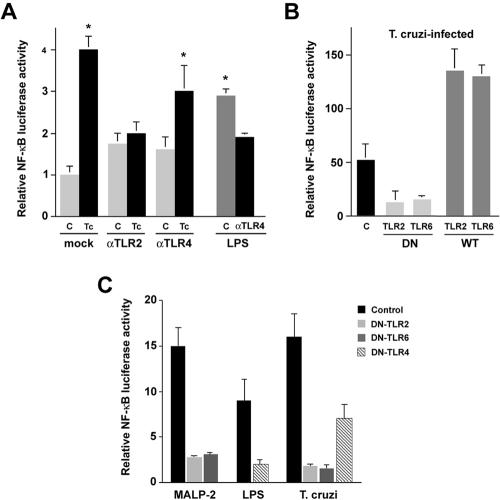 FIG. 2.