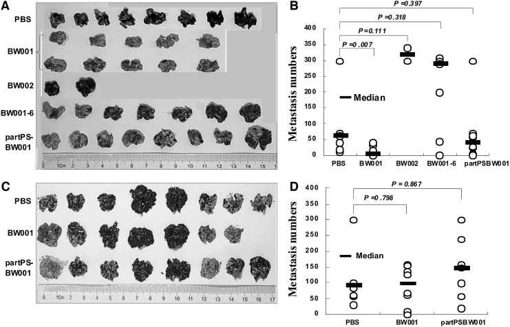 FIG. 9.