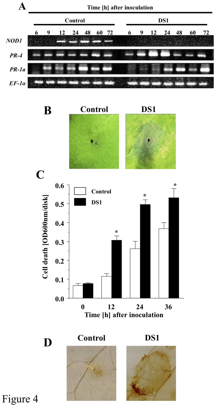 Figure 4